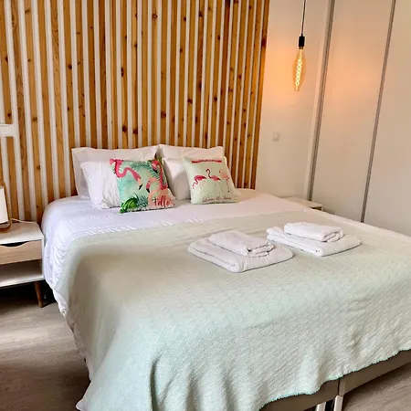Ripado Duplex * Ponta Delgada (Sao Miguel)